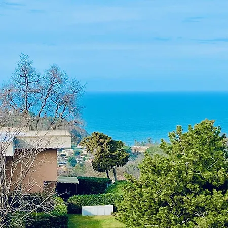 Mare Ledimar * Pesaro