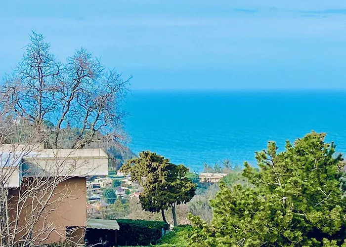 Mare Ledimar * Pesaro